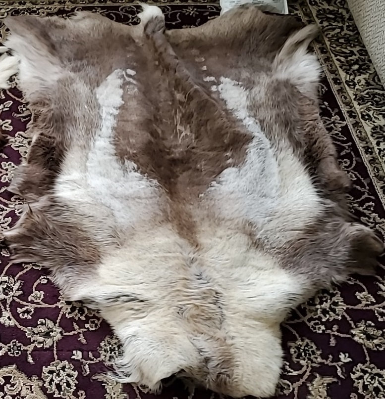 reindeer-fur-hide-norway-norse-rug-carpet