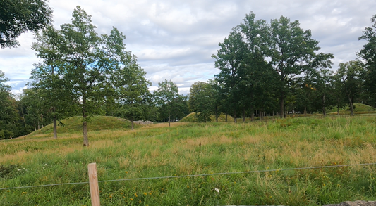 borre-midgardsblot-history-viking-burial-mound