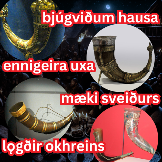 What is a Viking drinking horn called?