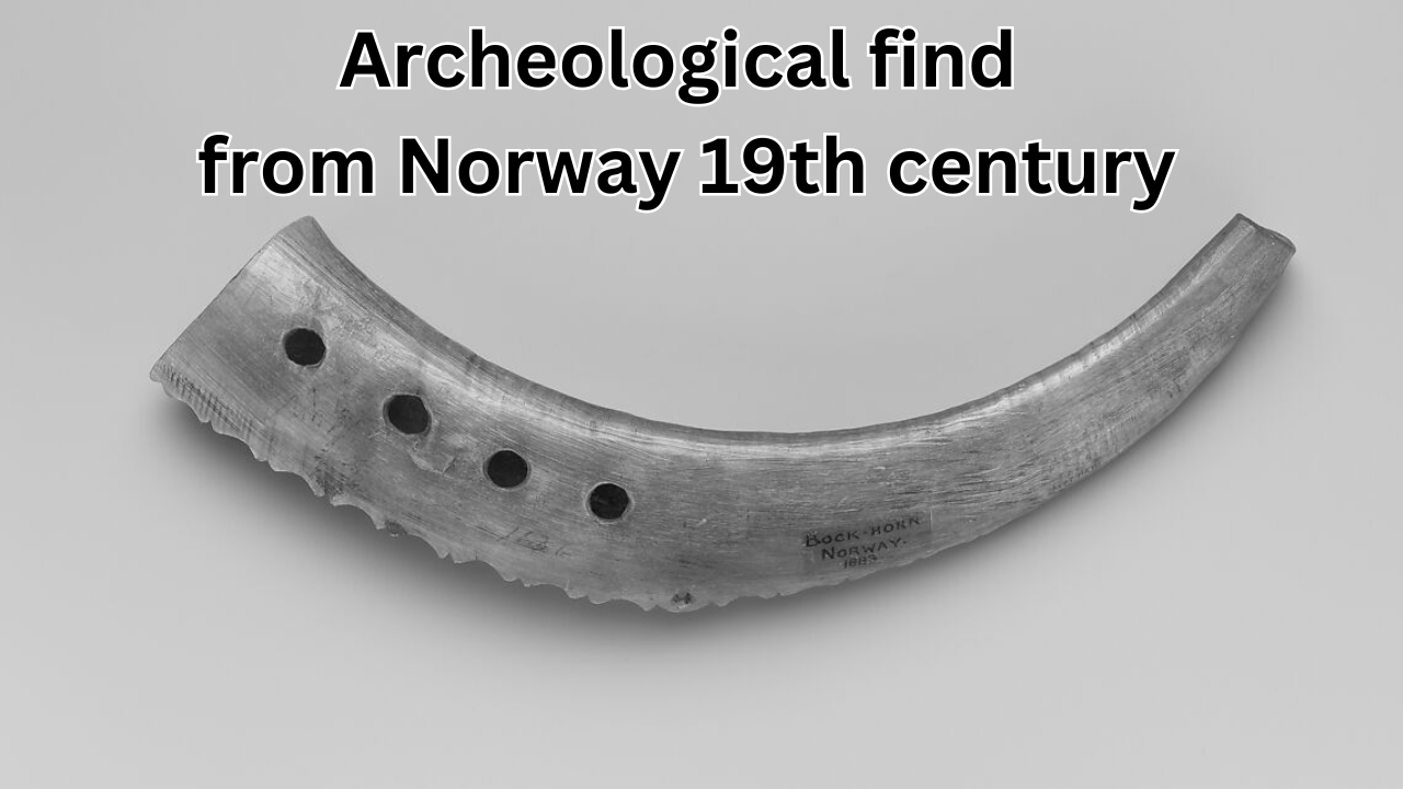 bukkehorn-Archeological-find-Norway-19th-century