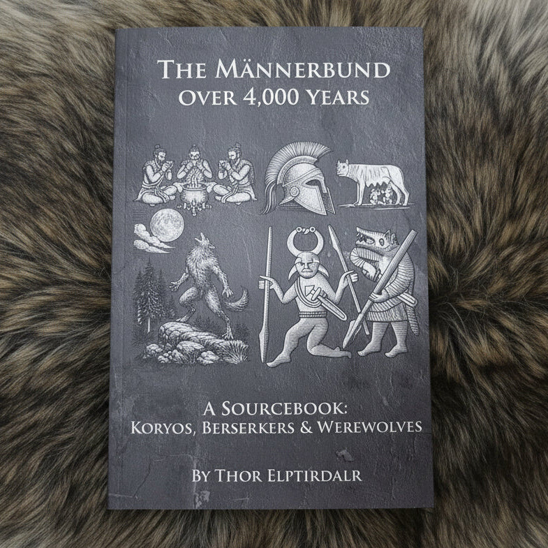 mannerbund-koryos-berserker-book