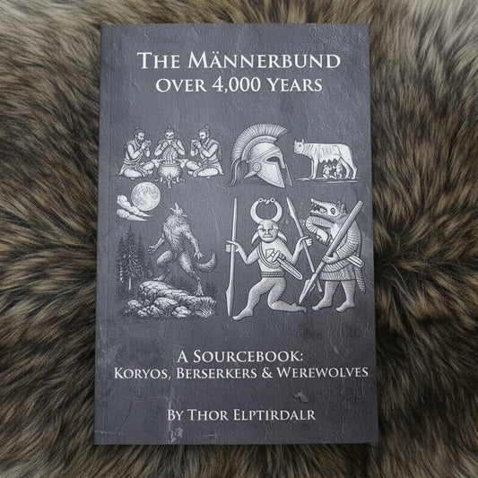 mannerbund-koryos-berserker-book